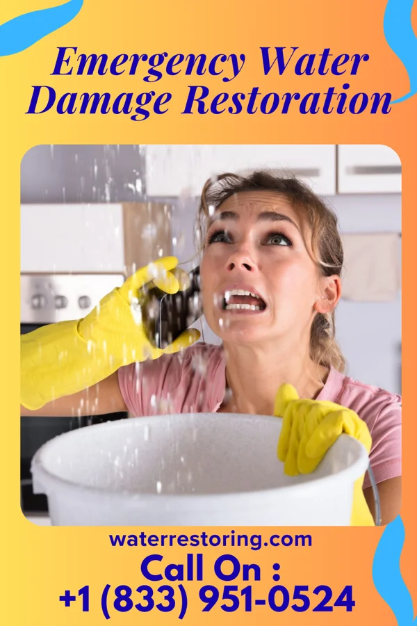 Emergency Water Damage Restoration in Montana City, MT
