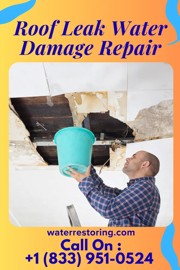 Roof Leak Water Damage Repair in Montana City, MT